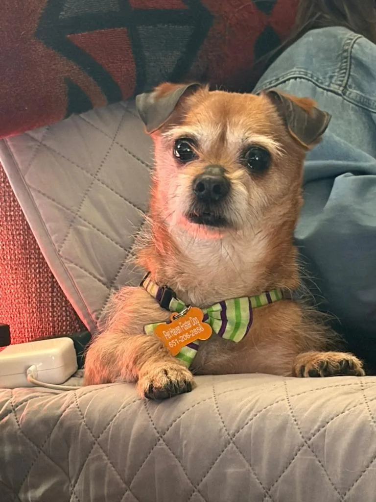 Cooper thumbnail 2