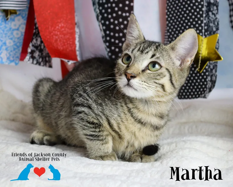 Martha thumbnail 2