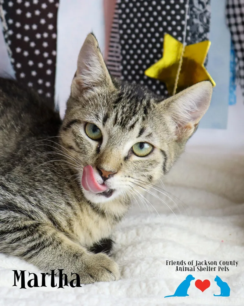 Martha thumbnail 3
