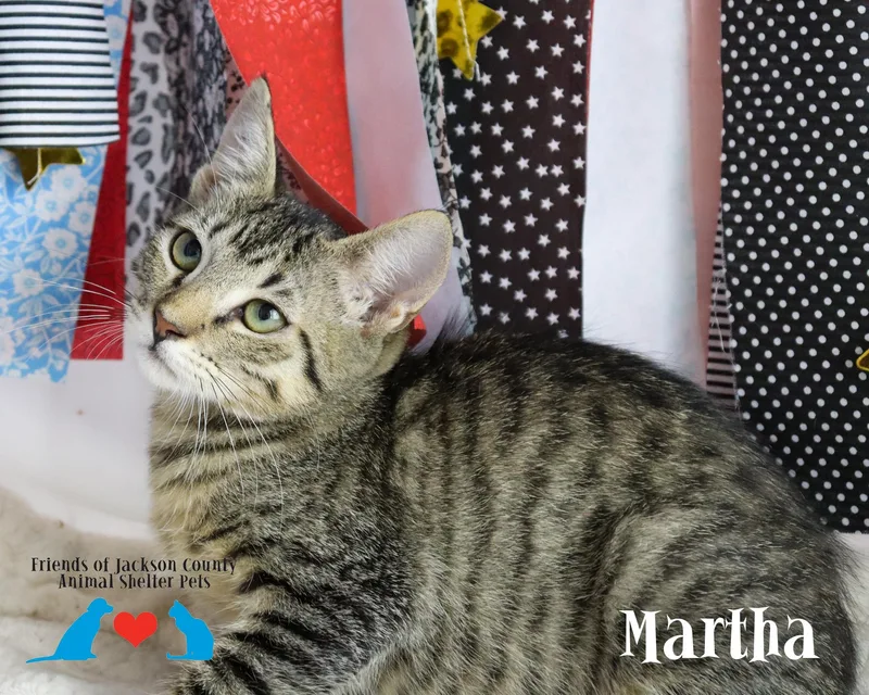 Martha thumbnail 4