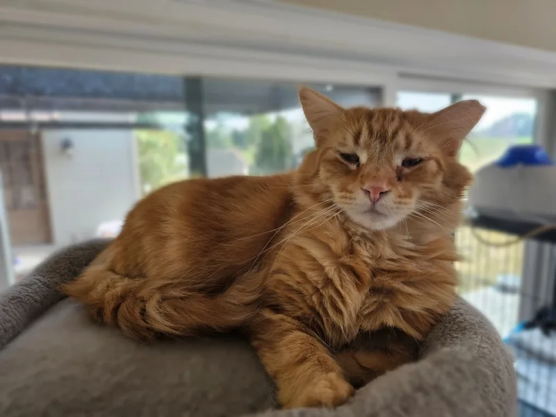 Holly Berry & Shirley thumbnail 2