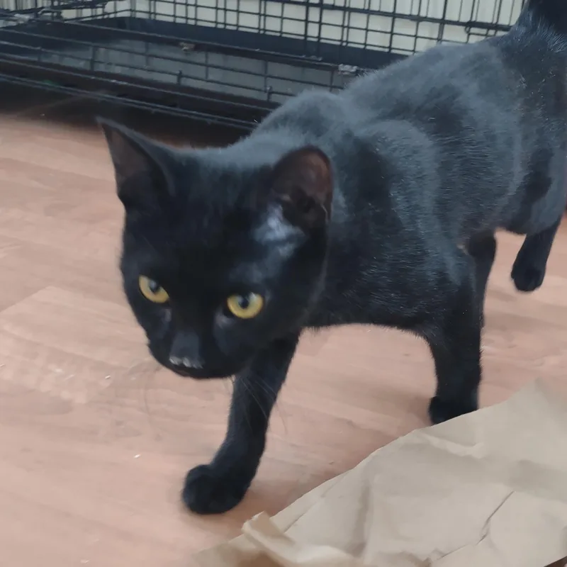 Jake Mews thumbnail 5