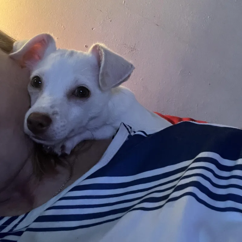 Wyatt thumbnail 4