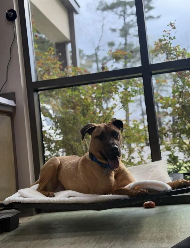 Meatloaf