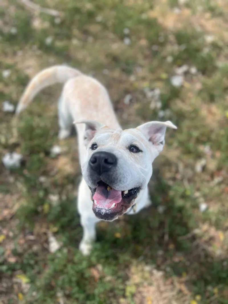 Mary Puppins thumbnail 3