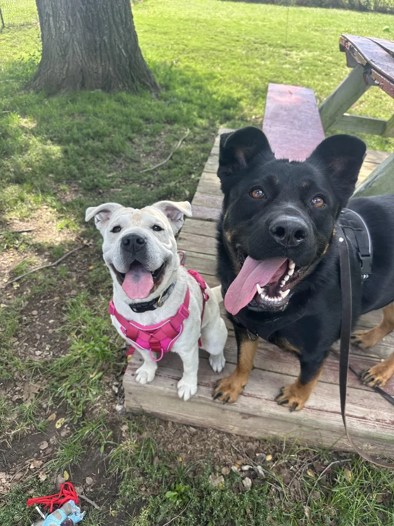 Mary Puppins thumbnail 4