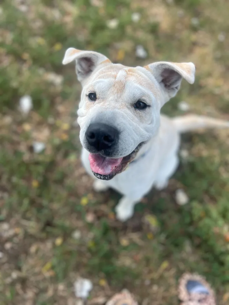 Mary Puppins thumbnail 5