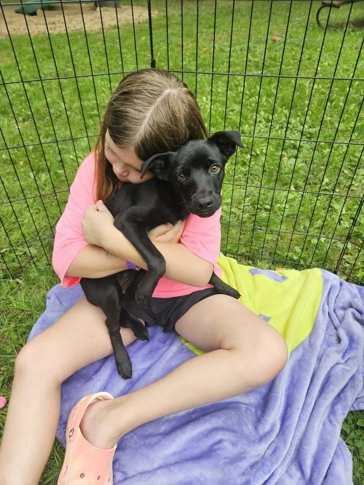 Darklynn thumbnail 4