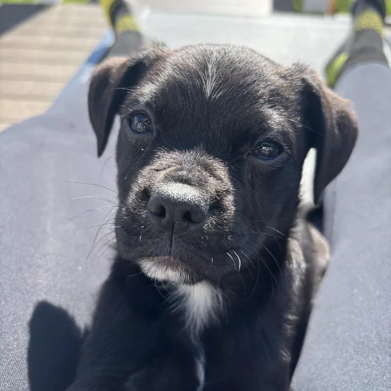 Darth Vader thumbnail 2