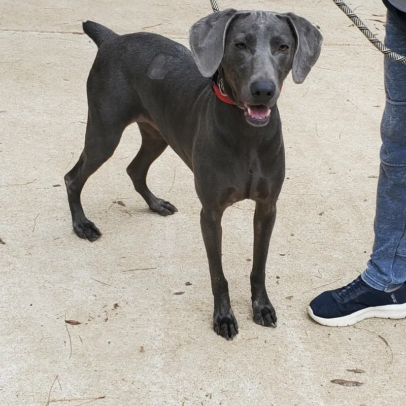 Wednesday thumbnail 2