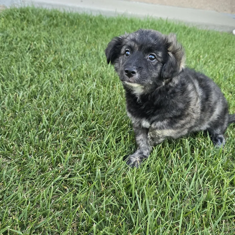 Handsome thumbnail 5