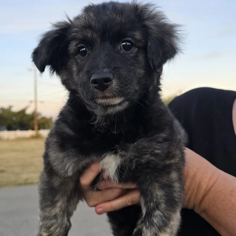 Handsome thumbnail 6