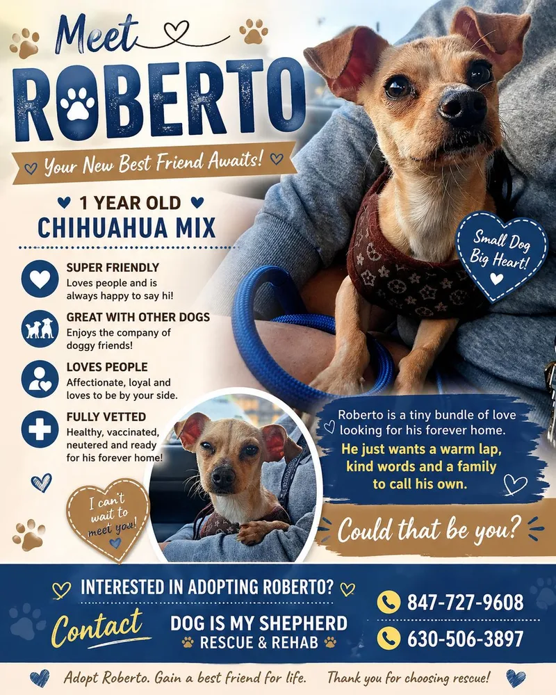 Roberto