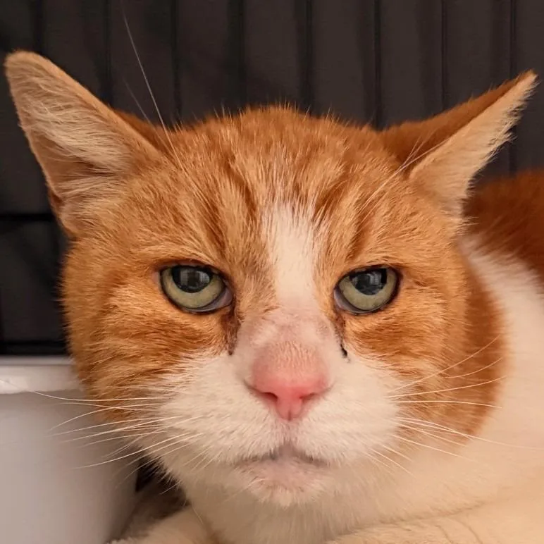 Shere Khanchino Hills Location thumbnail 3