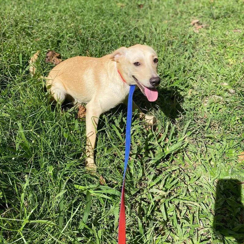 Grapey "hurry To Love thumbnail 3