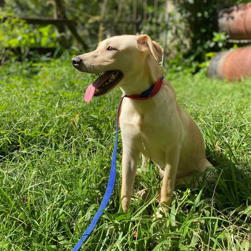 Grapey "hurry To Love thumbnail 4