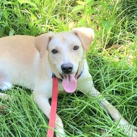 Grapey "hurry To Love