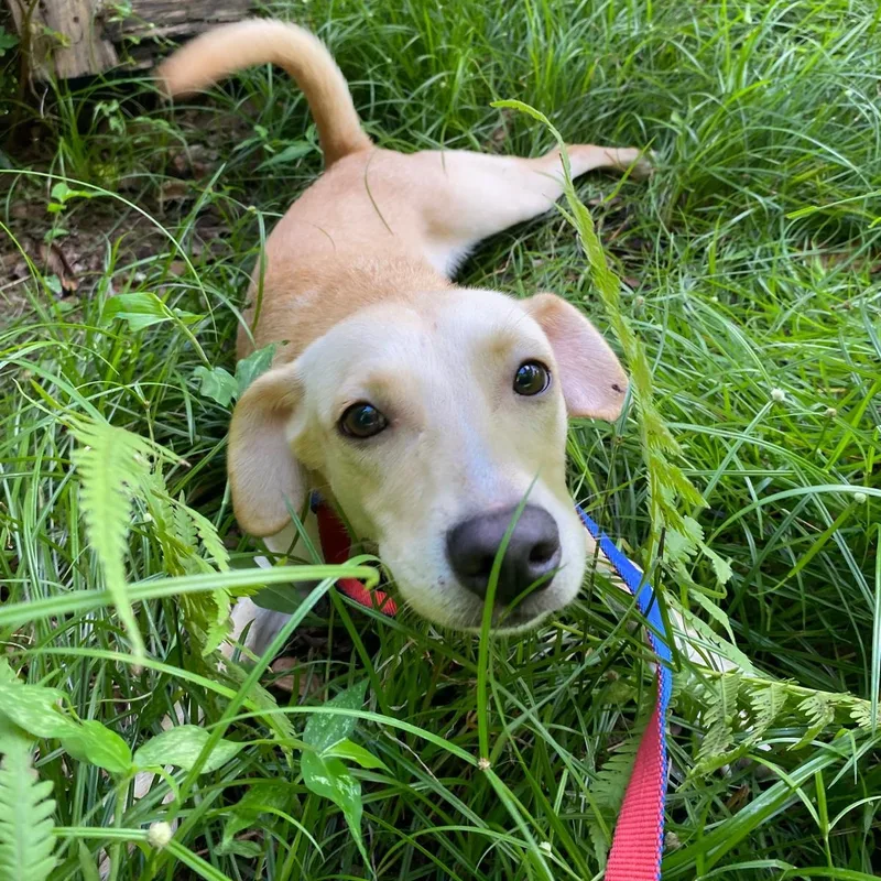 Grapey "hurry To Love thumbnail 5