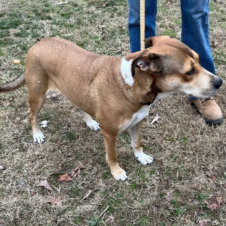 Baby Girl thumbnail 2