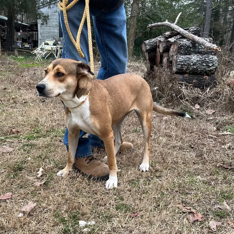 Baby Girl thumbnail 3