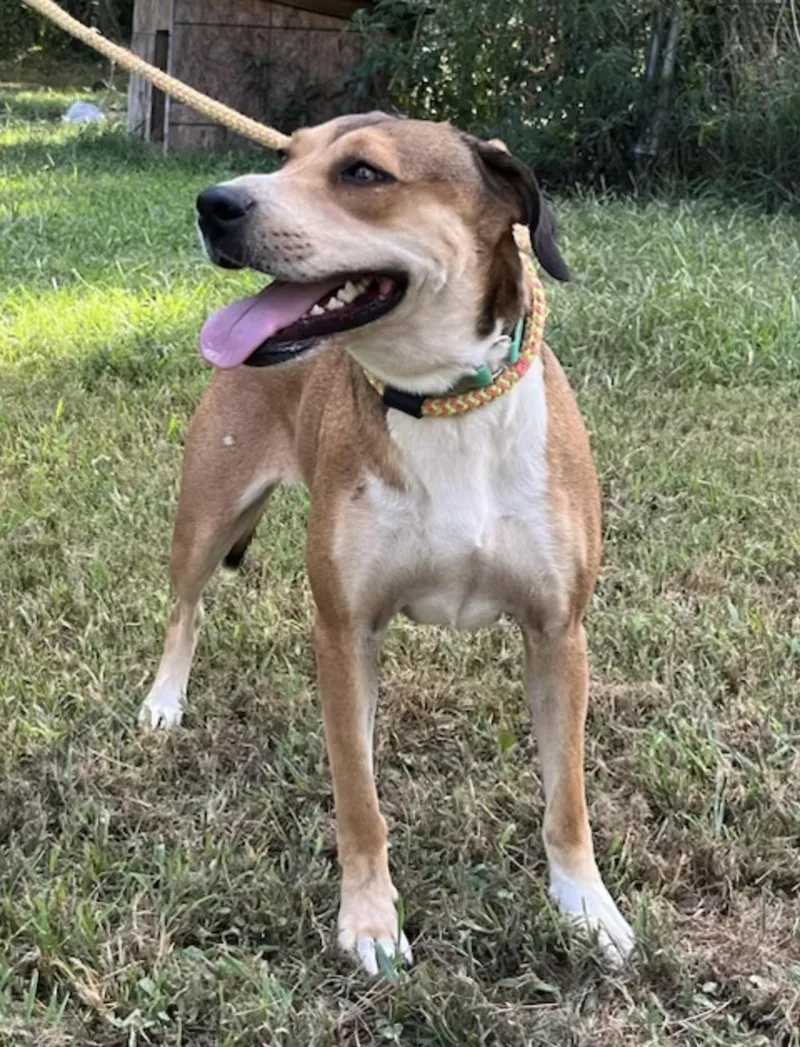 Baby Girl thumbnail 4