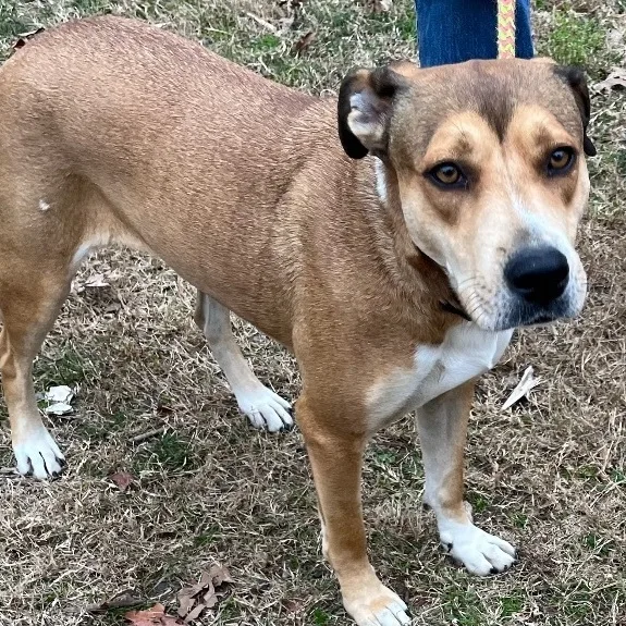 Baby Girl thumbnail 5