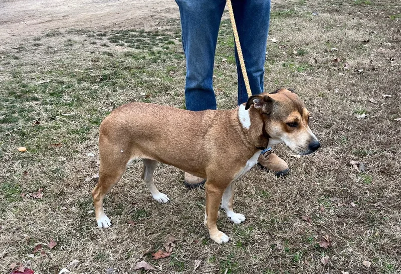 Baby Girl thumbnail 6