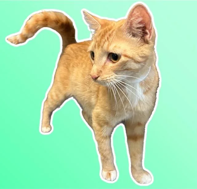 Juno