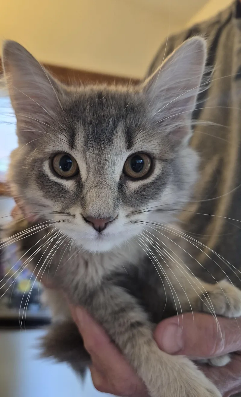 No Name Yet