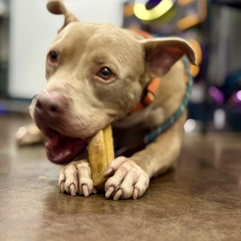 Finnsuch A Wonderful Personality thumbnail 5