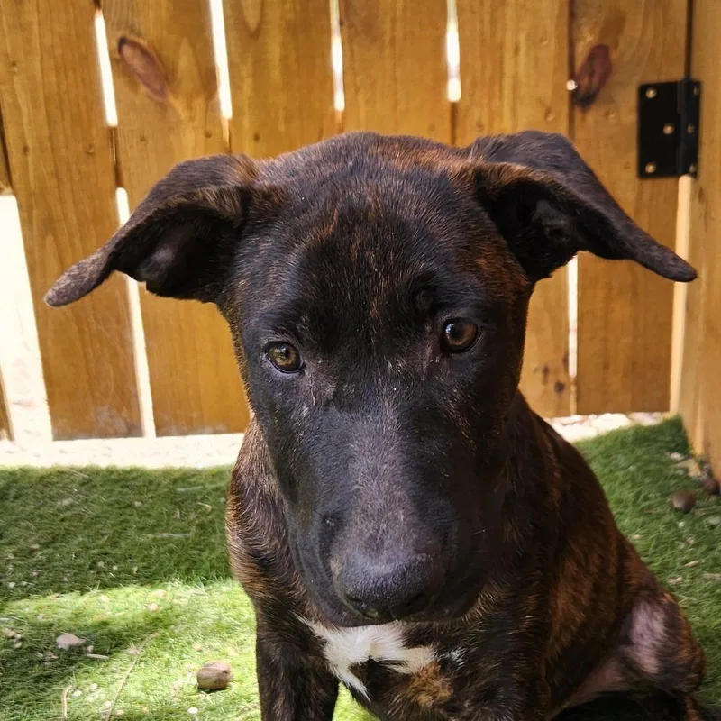 Stan Jum thumbnail 2