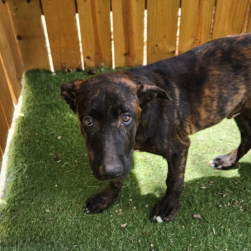 Stan Jum thumbnail 3