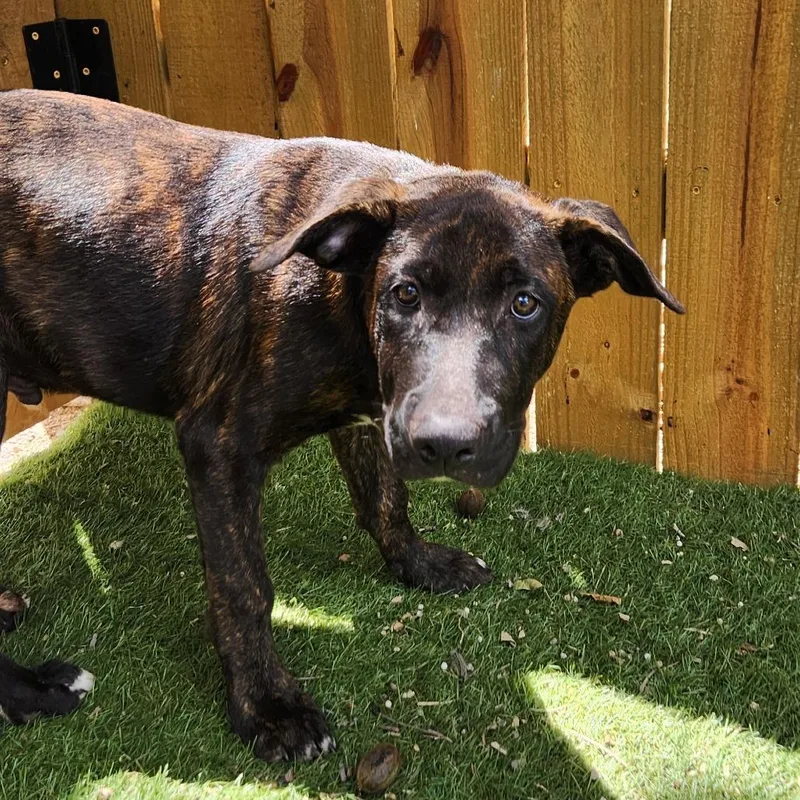 Stan Jum thumbnail 4