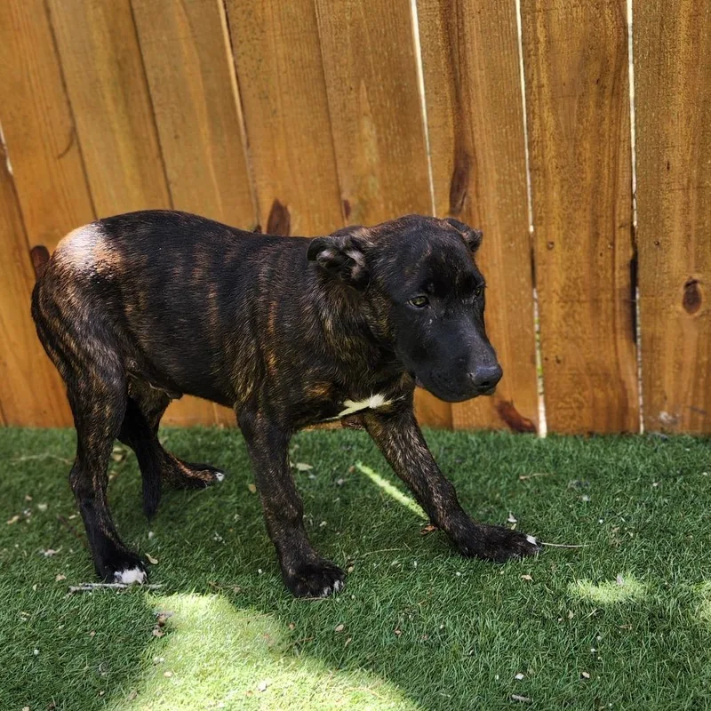 Stan Jum thumbnail 5