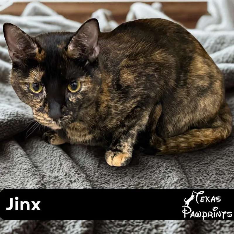 Jinx