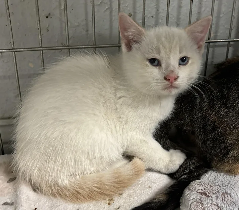 Suzanna And Scotty thumbnail 2