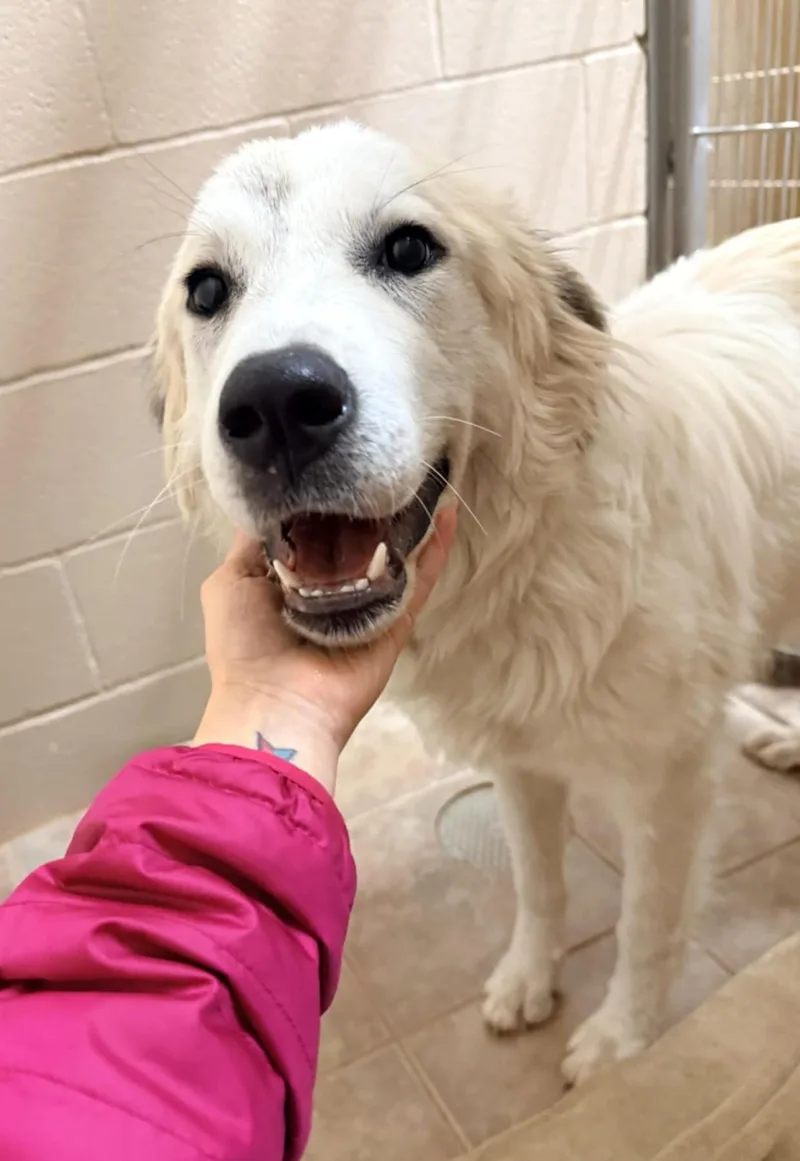 Marla Sat thumbnail 3