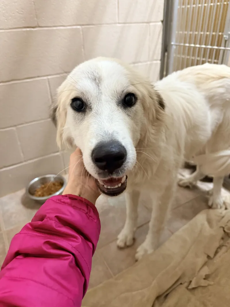 Marla Sat thumbnail 4