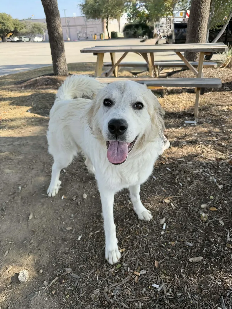 Marla Sat thumbnail 5