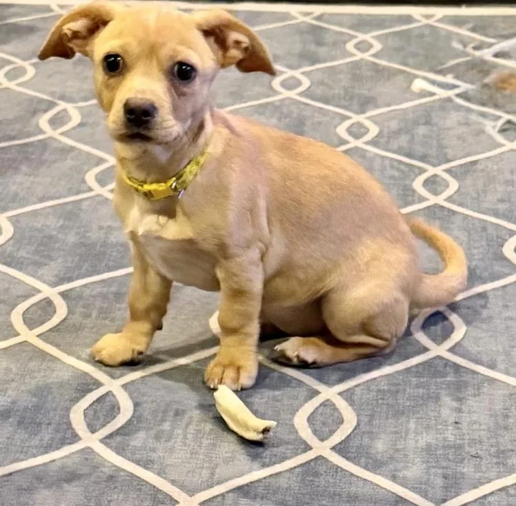 Joon thumbnail 2