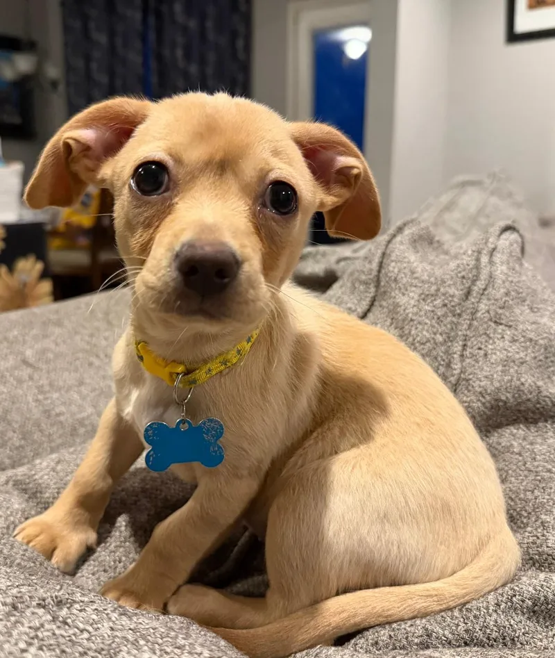 Joon thumbnail 6