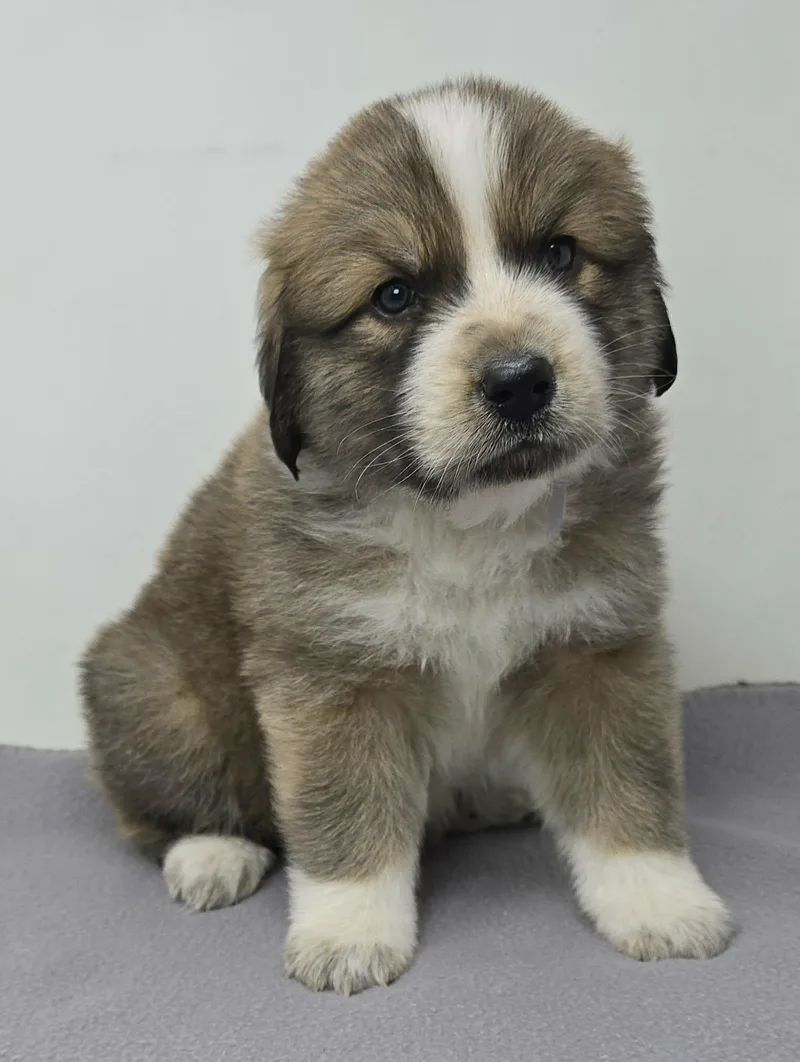 Hyperion thumbnail 2