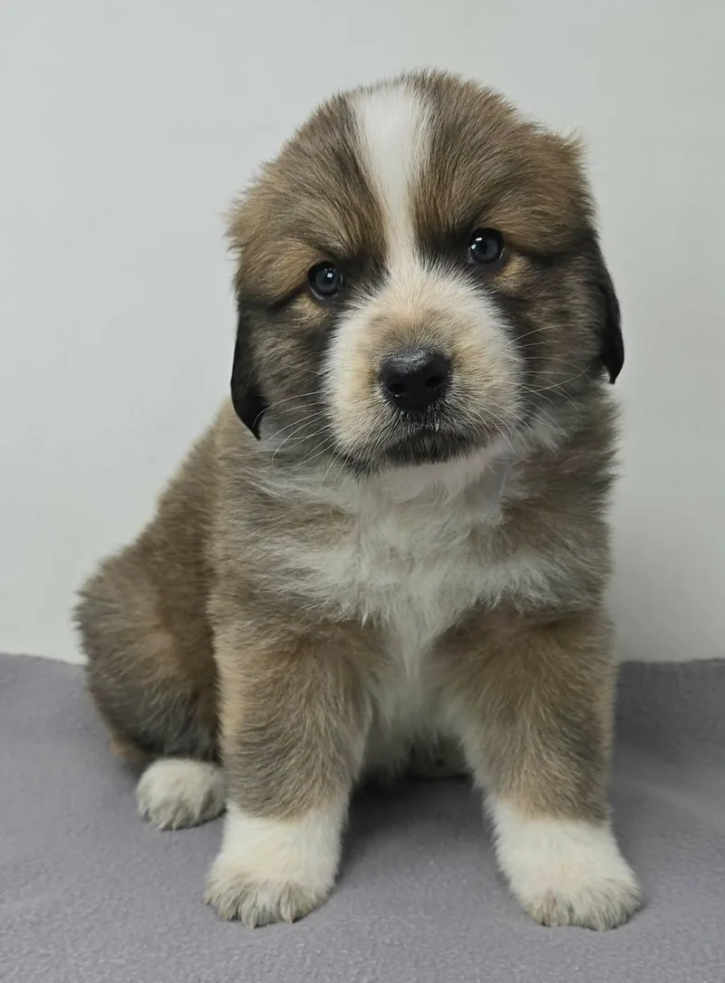 Hyperion thumbnail 3