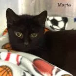 Marta thumbnail 2