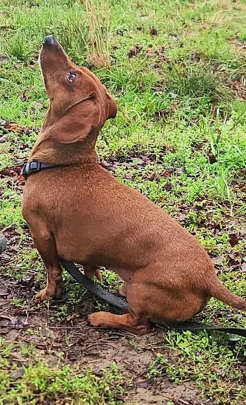 Luke In Nc thumbnail 2