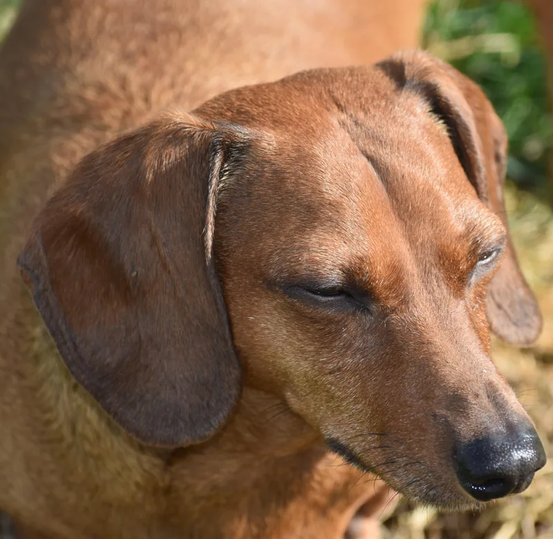 Luke In Nc thumbnail 5