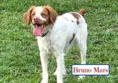 Bruno Mars