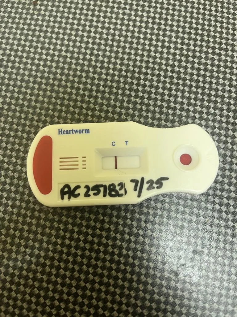 Slim Jim thumbnail 5