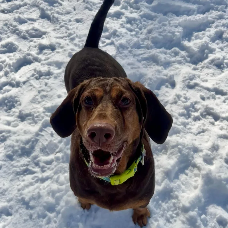 Francium thumbnail 2