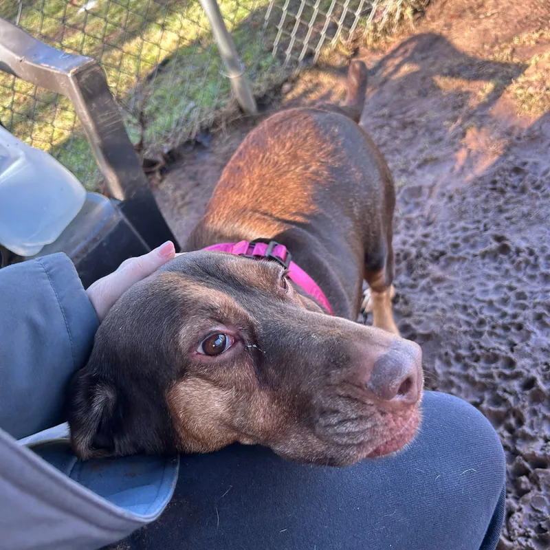 Francium thumbnail 3